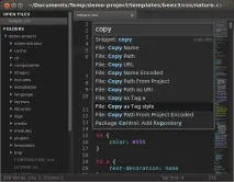 Sublime Text 2 text