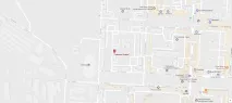 Стрижка тер’єрів єрів