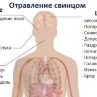 Свинець шкідливий для здоров’я людини чи ні в чому небезпека важкого металу здоров