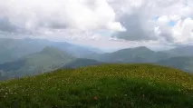 Тектонічна структура Кавказу тектонічна