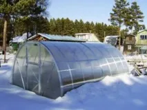 зимівля
