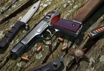 стечкін