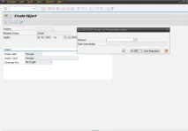 Транспортний запит при створенні майстер-даних - SAP в нотатках запит