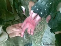 зброї