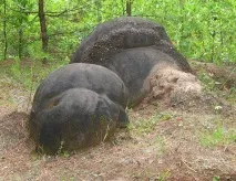 єкти