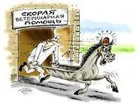 Вузькі спеціалізації у ветеринарії Ветеринарний