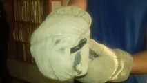 гадюк
