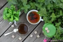 Варення з м’яти - Будиночок Панди панди