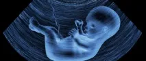 Узі на 16 тижні вагітності стать дитини дитини