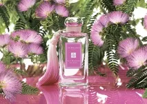 Знижки на Jo Malone та Giorgio Armani 15% в Articoli, Beauty Insider giorgio