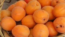 Смачні мариновані абрикоси на зиму. мариновані