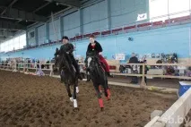 У Мінську пройшла виставка рідкісних коней рідкісних