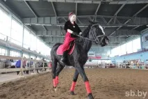У Мінську пройшла виставка рідкісних коней коней