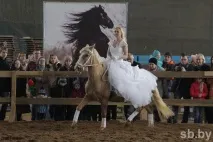 У Мінську пройшла виставка рідкісних коней коней