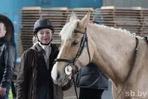 У Мінську пройшла виставка рідкісних коней виставка