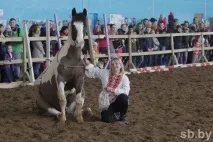У Мінську пройшла виставка рідкісних коней коней