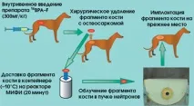 реактор