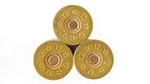Winchester M12 можна