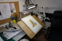 Художник-ілюстратор Лев Каплан «Дивитись на все очима дитини – тільки так можна зробити гарну каплан