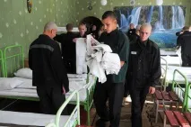 У Забайкаллі школярі живуть за злодійськими поняттями поняттями