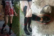Хабарівчанки катували собак та кішок у будівлі покинутої лікарні хабарівчанки