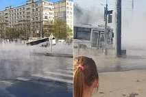 Хабарівчанки катували собак та кішок у будівлі покинутої лікарні катували