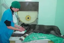 реактор