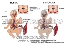 нейното