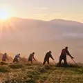 Заготівля () 7 букв - пошук слів за маскою та визначенням, відповіді на сканворди слів