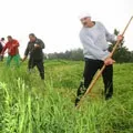 Заготівля () 7 букв - пошук слів за маскою та визначенням, відповіді на сканворди слів