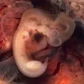 Заготівля () 7 букв - пошук слів за маскою та визначенням, відповіді на сканворди заготівля