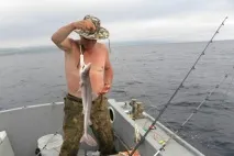 сала