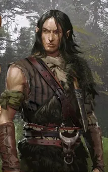 Yaevinn, The Witcher Wiki, FANDOM на основі Wikia wiki