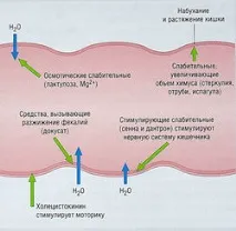Запор при вживанні протеїну запор