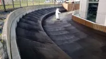 гума