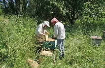 Журнал Бджільництво - Двоярусне дно бджільництво