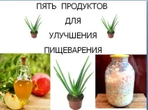 Життя людини та її здоров’я, 5 продуктів для покращеннятравлення людини