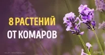 подалі