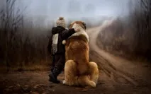 Собака для дитини яку породу вибрати та на що звернути увагу собака
