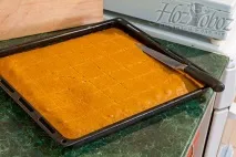 гарбузовий