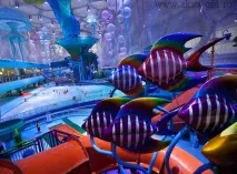 АКВАПАРК «ВОДНИЙ КУБ» (WATER CUBE) ПЕКІН, КИТАЙ water