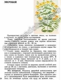 Їстівні гриби, ягоди, трави трави