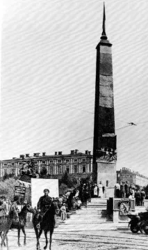 коні