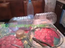 бичок