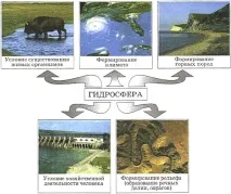 § 33. Вода Землі. Кругообіг води в природі вода