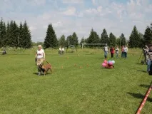 Великий український Ринг у Твері (ВІДЕО та ФОТО) - ЗооТвер - Тверський довідково - інформаційний портал український