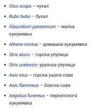 Болгарська мова слов