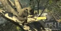 Call of Duty GHOSTS Секрети та Пасхалки пасхалки