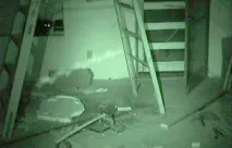 Брюс Науман та його пошуки (взаємо)розуміння - Що треба знати - Мистецтво науман