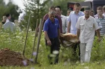 Булгарія – спорожніла булгарія